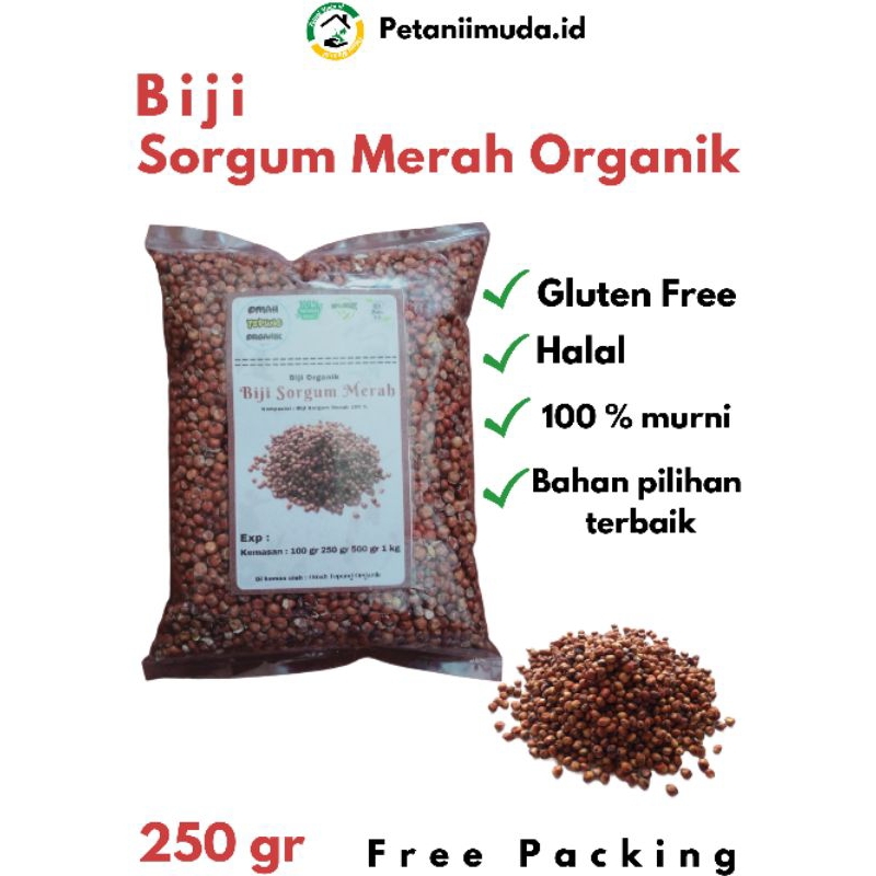 

Biji Sorgum Merah kemasan 250 GRAM/Beras Sorgum Merah kemasan 250 GRAM/Benih Sorgum Merah kemasan 250 GRAM/Bibit Sorgum Merah kemasan 250 GRAM