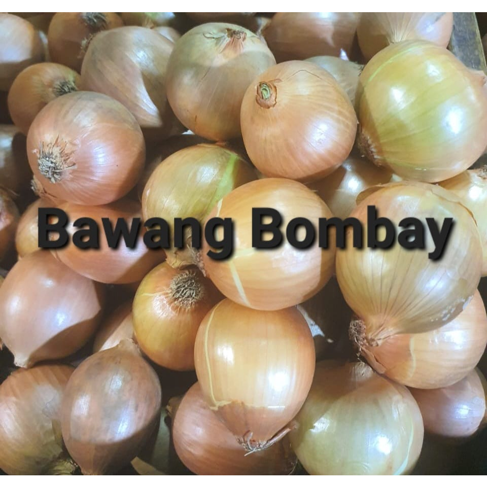 

Bawang Bombay Bumbu Masak Rempah 250gr 500gr 1kg