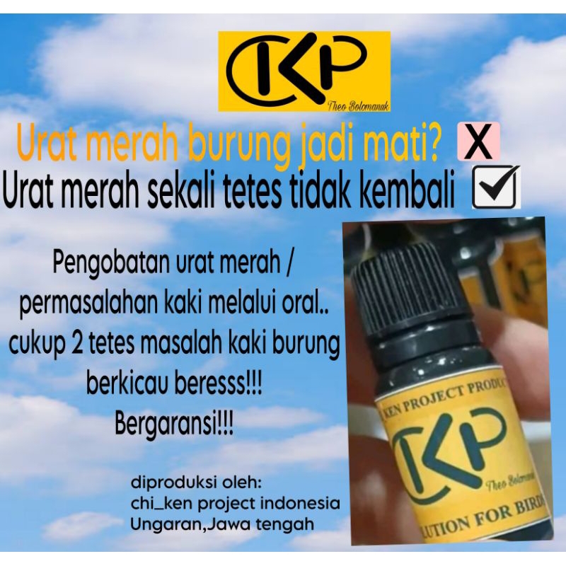 obat urat merah kaki kenari dan burung lainnya