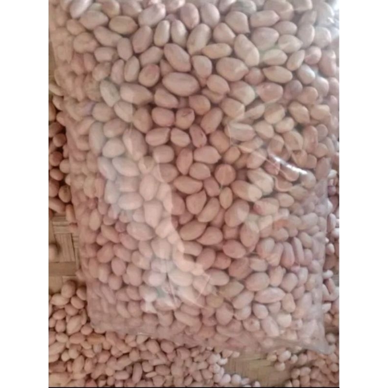 1KG BENIH KACANG TANAH GARUDA UNGGULAN
