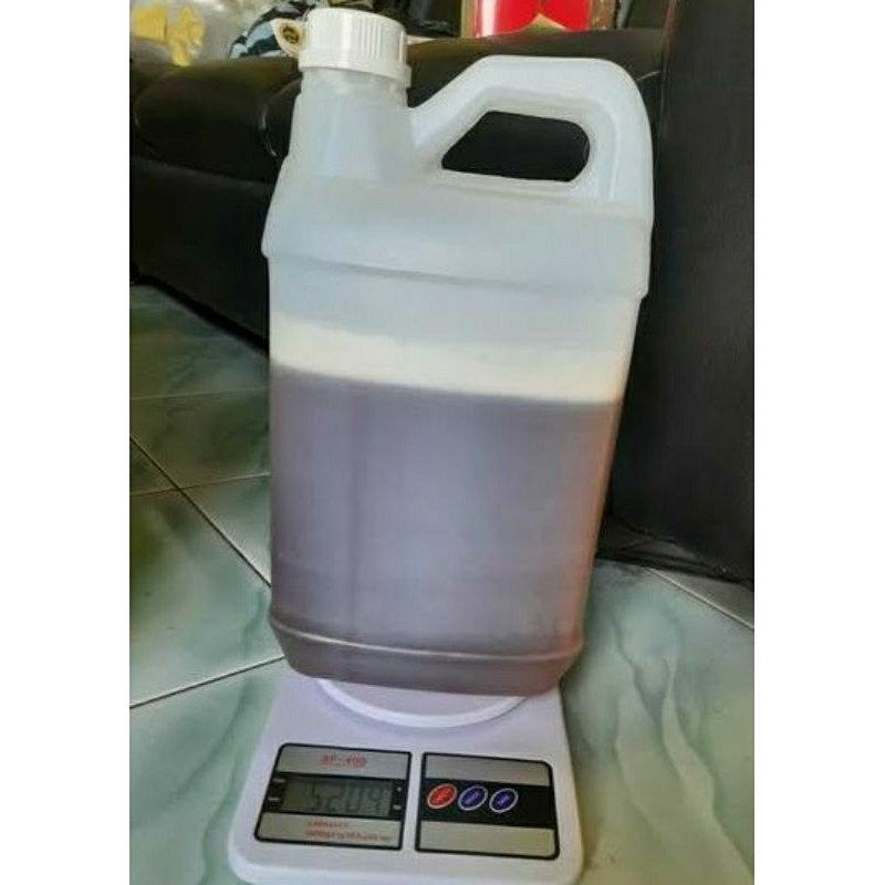 

madu randu 5kg langsung dari peternak