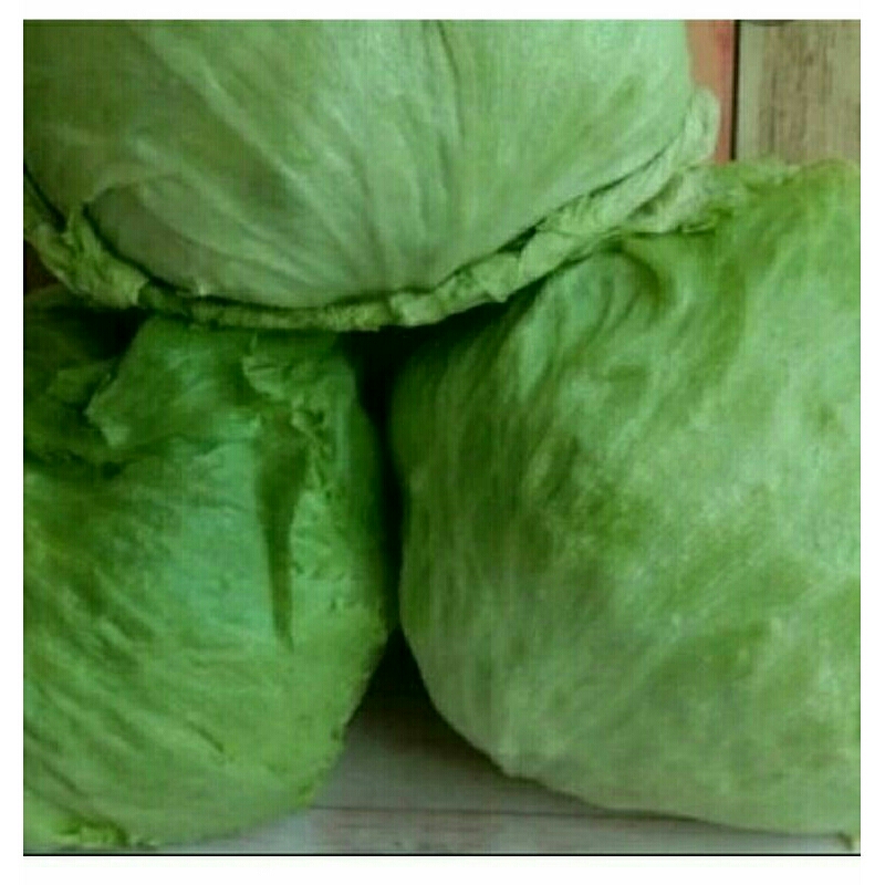 

letuce sayuran fresh 250 gram