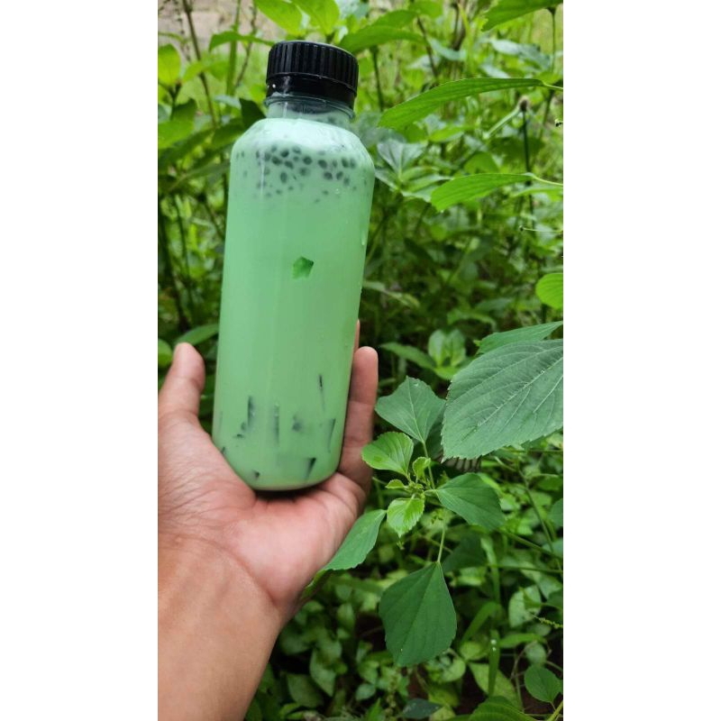 Buko Pandan premium | Buko Pandan Botol