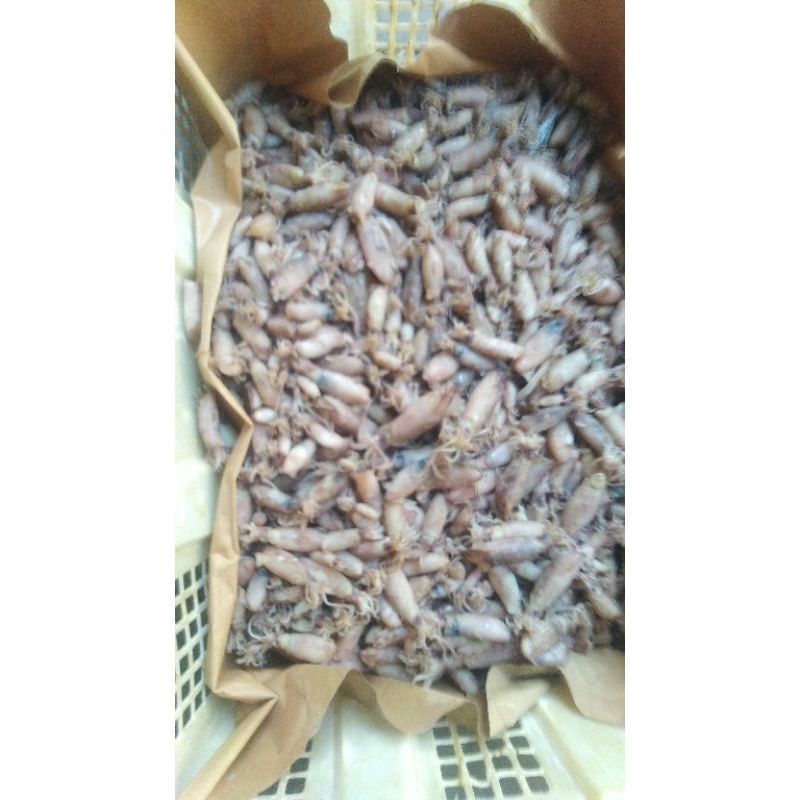 

cumi asin rebus 500g & 1000 gram