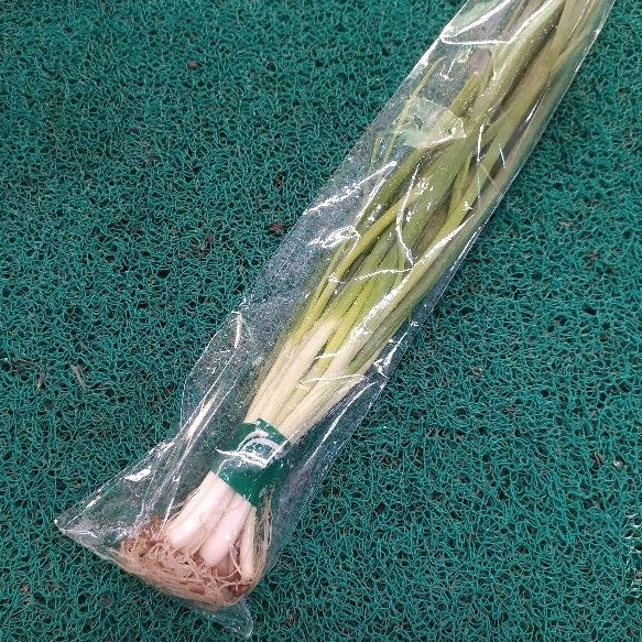 

Daun Bawang Segar 50 gram