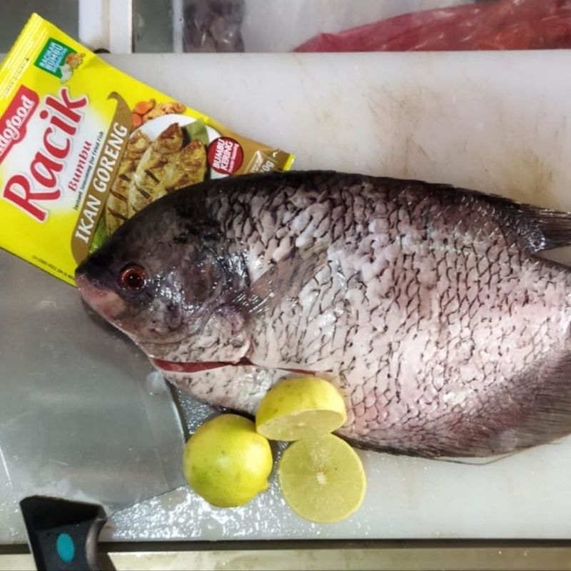 

Paket Hemat Gurame 500gr