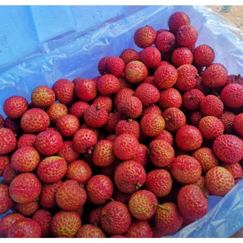 

Buah Leci Merah Manis Fresh 900-980g