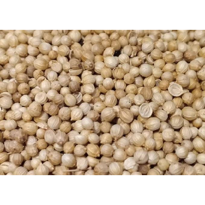 

BUMBU DAPUR KETUMBAR KEMASAN 50GR