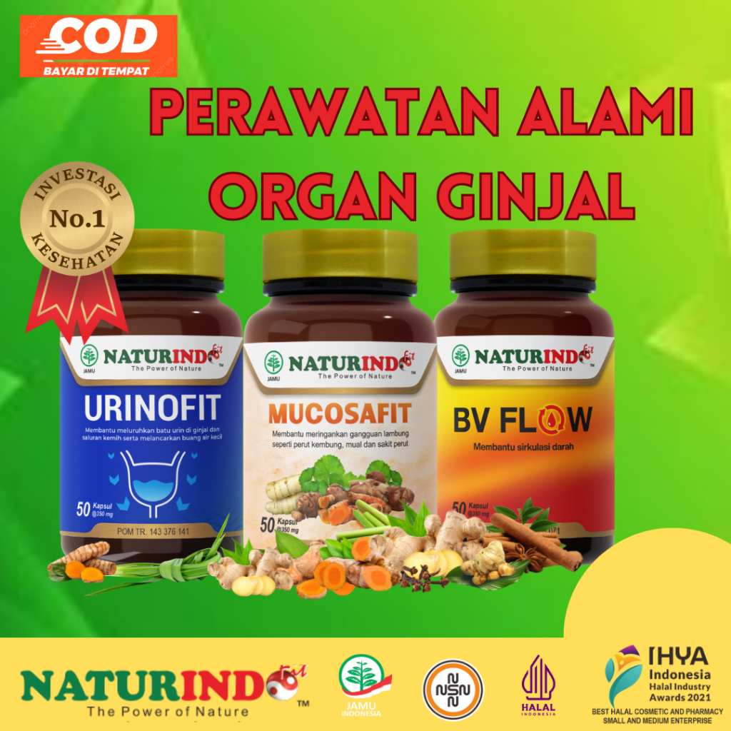 Obat Herbal Paket Ginjal Infeksi Ginjal Gangguan Ginjal Naturindo