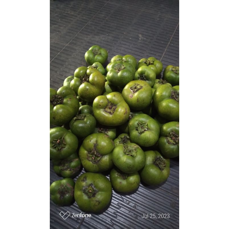 

1KG buah black sapote /sawo hitam organik langsung dari petani
