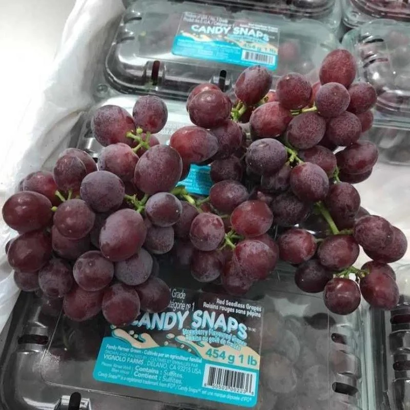 

Anggur candy Snap Rasa Seperti Permen 1 Pack -+450 grm