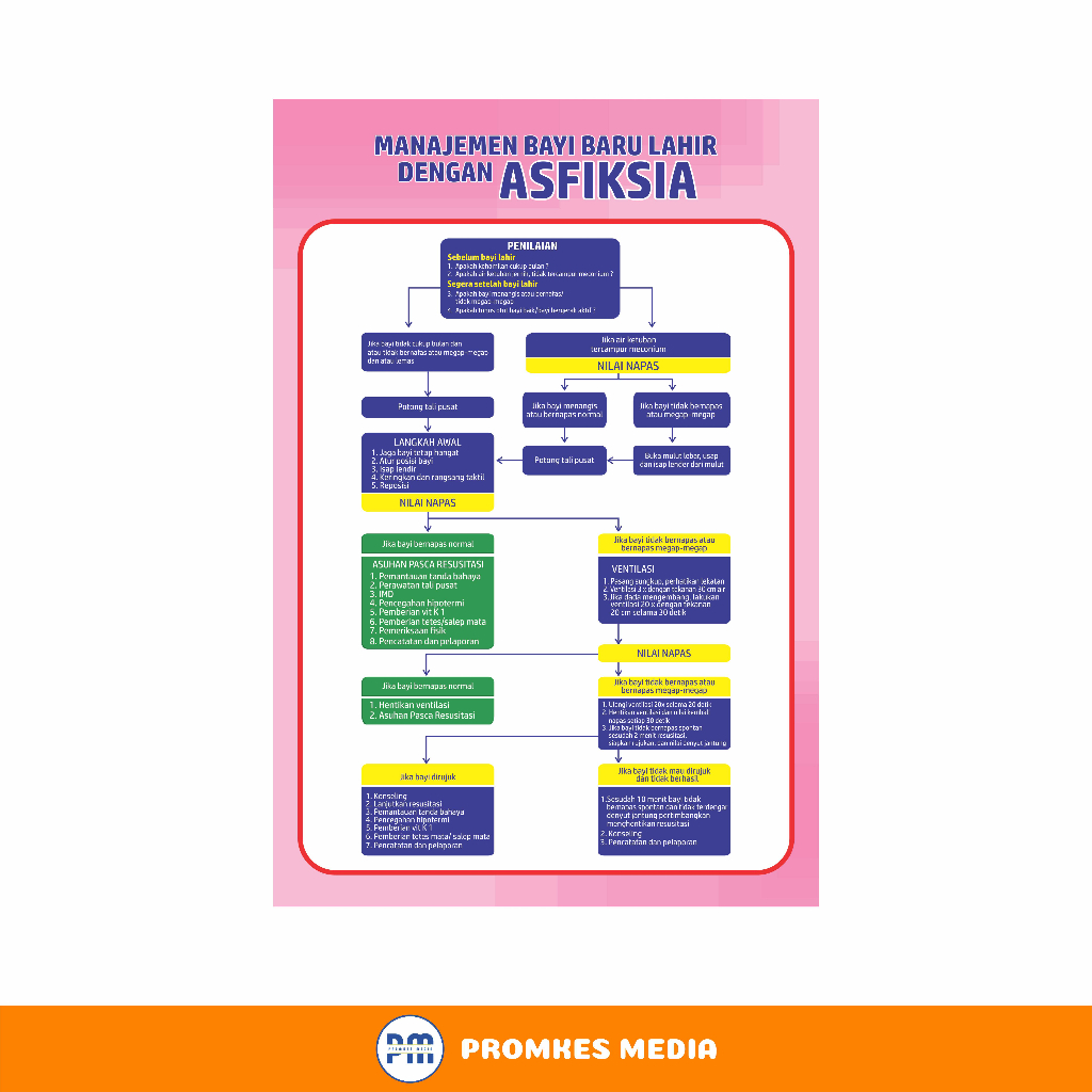 

Poster Kesehatan, Poster Kebidanan, Poster Manajemen Bayi dengan Asfiksia
