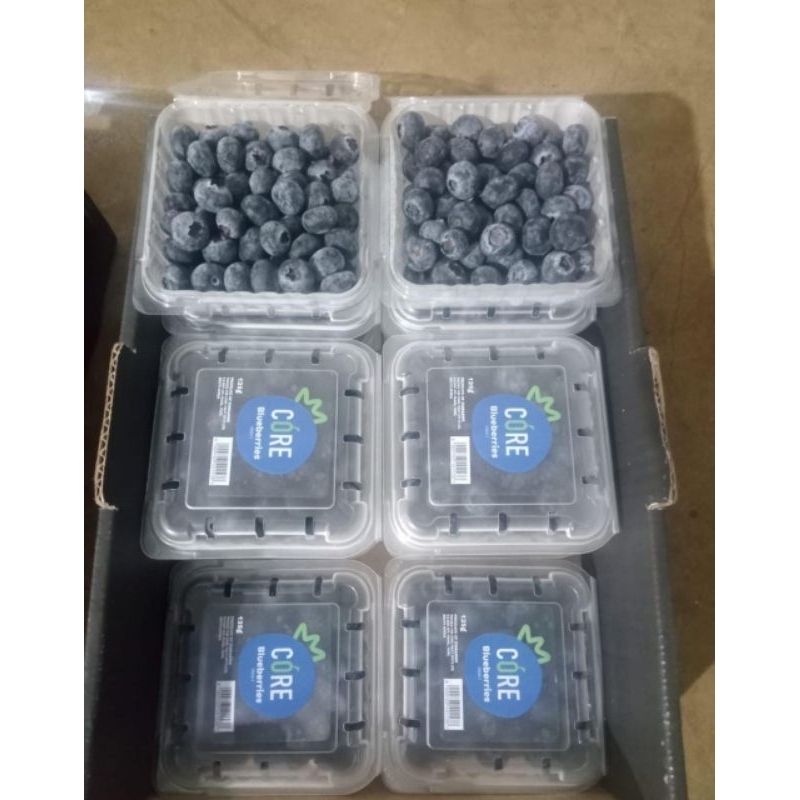 

Buah Blueberry