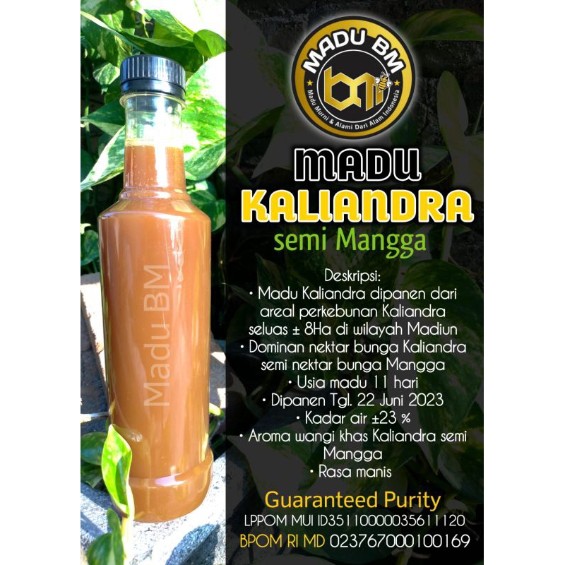 

BM-Madu Kaliandra Semi Mangga kemasan 1kg