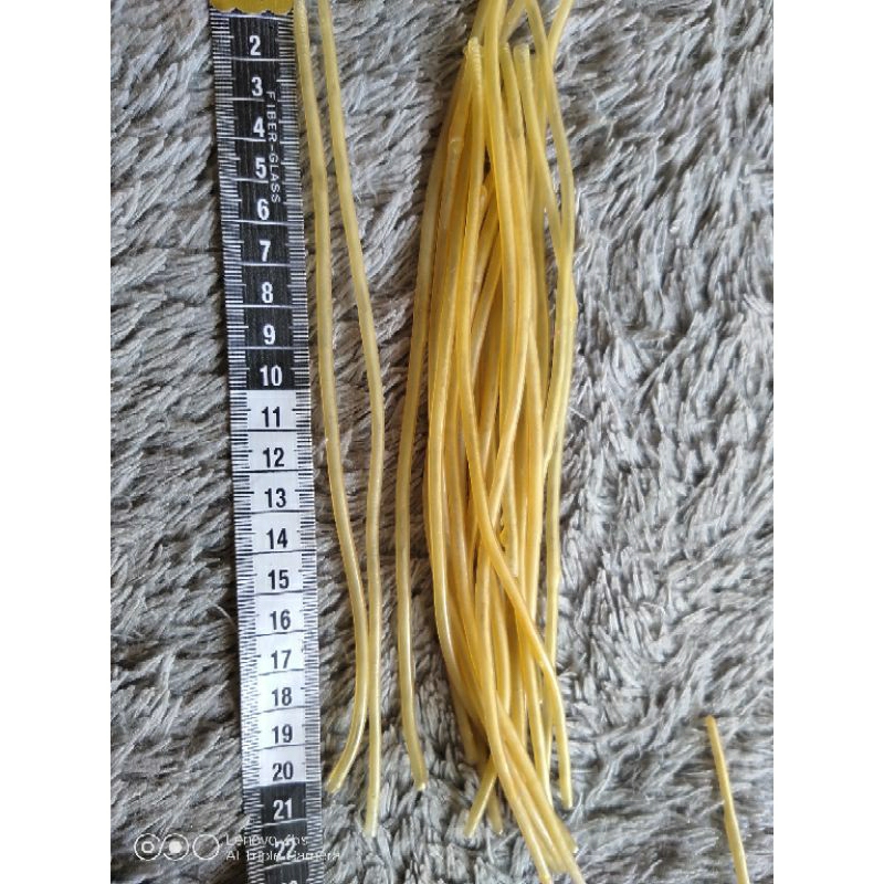 karet pentil untuk umpan casting | soflure | bahan ketapel dan lainnya