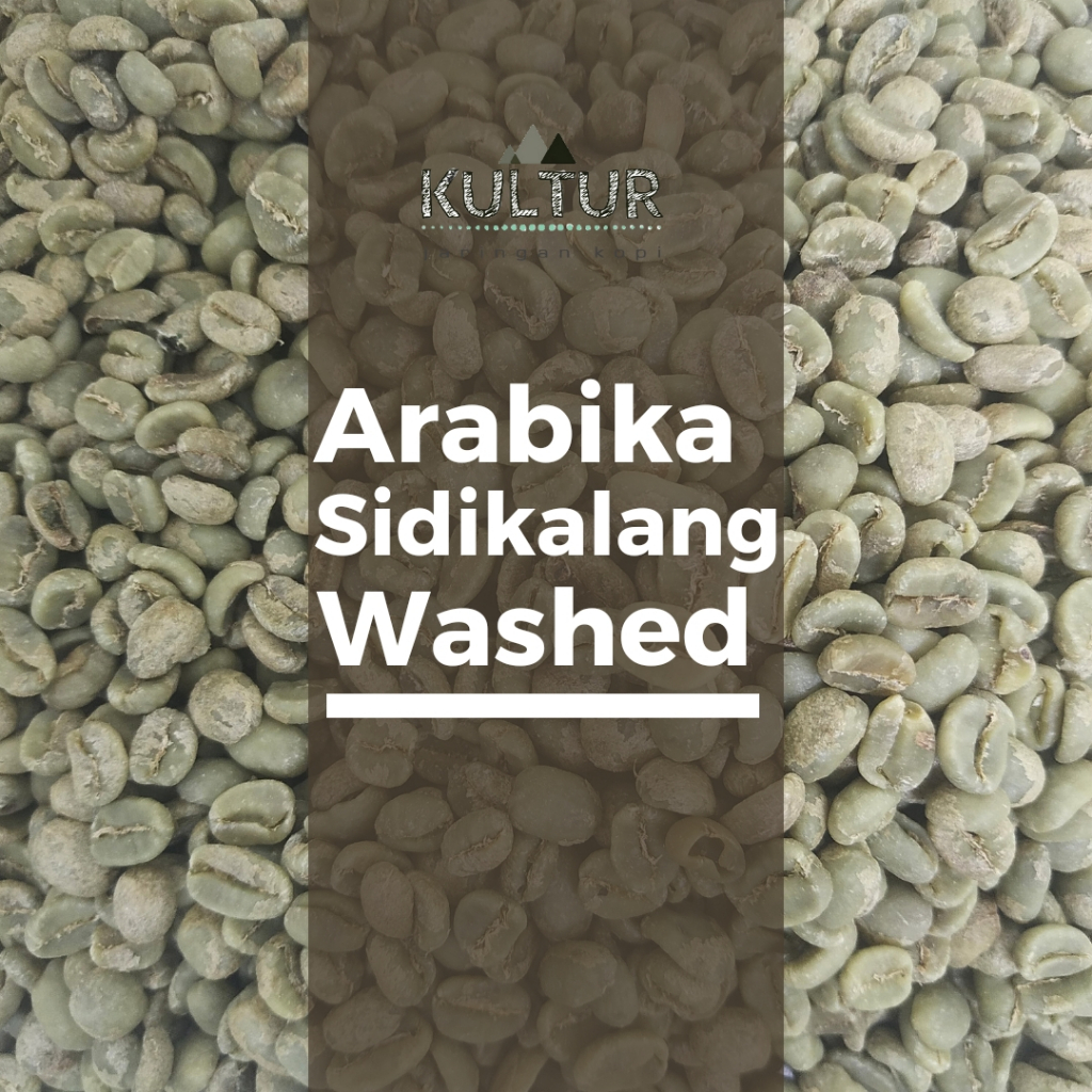 

GREEN BEAN ARABIKA SIDIKALANG WASHED BIJI KOPI MENTAH NETTO 1 KG