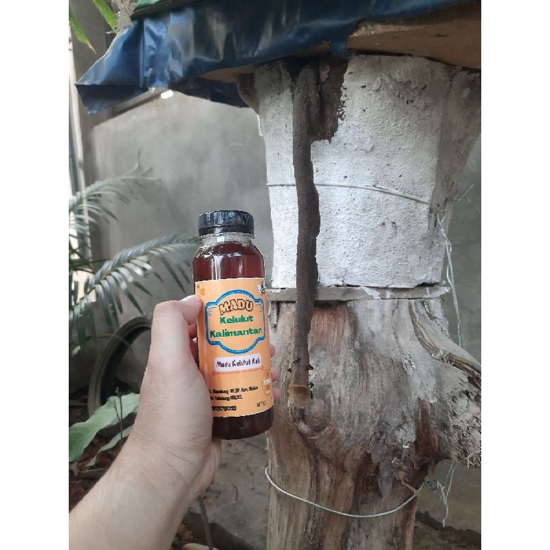 

[250 ml] Madu Kelulut Murni 100% Asli Produksi Kalimantan