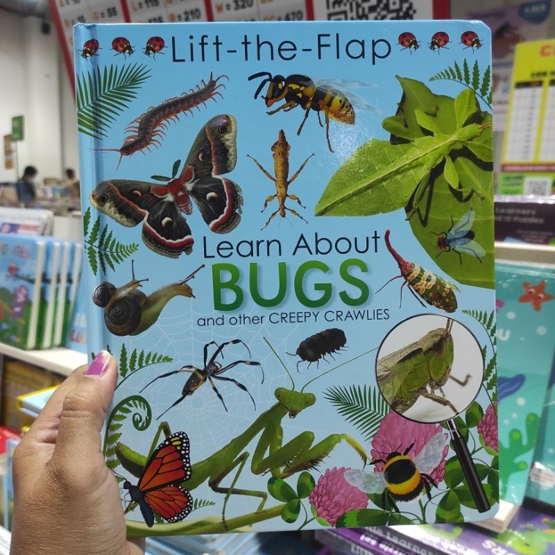 BIG BAD WOLF • LIFT-THE-FLAP : LEARN ABOUT BUGS AND OTHER CREEPY CRAWLIES - BUKU ANAK BBW IMPORT