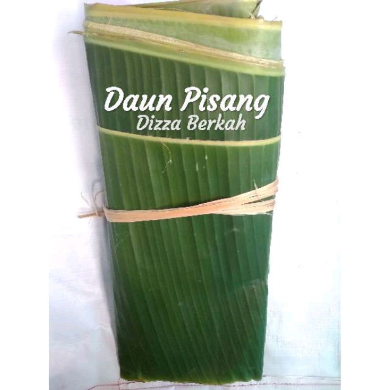 

DAUN PISANG/1 ikat/fresh/bagus/Dizza Berkah