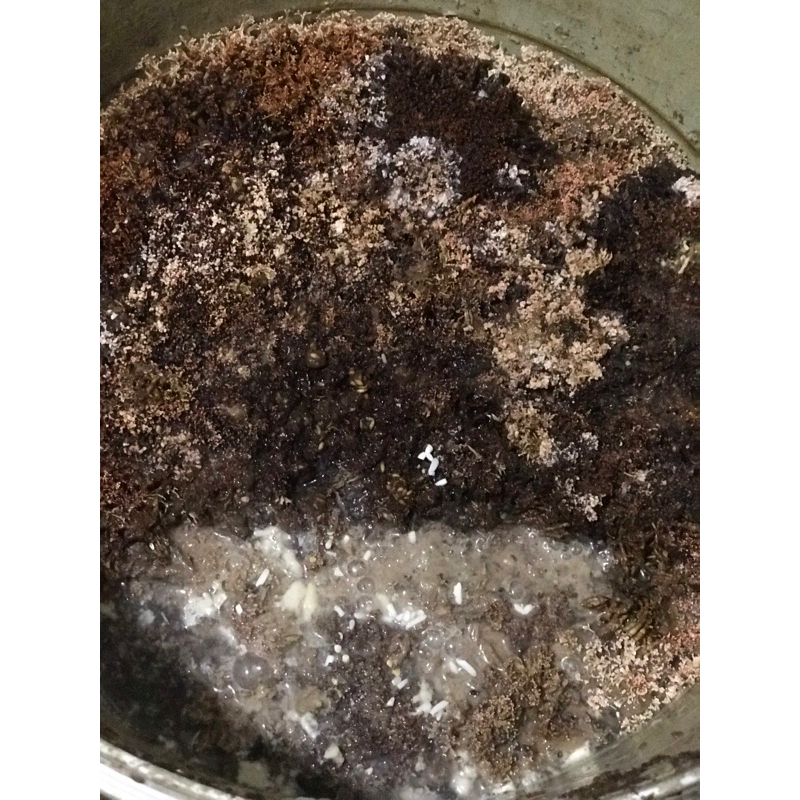 Jakaba jamur keberuntungan abadi