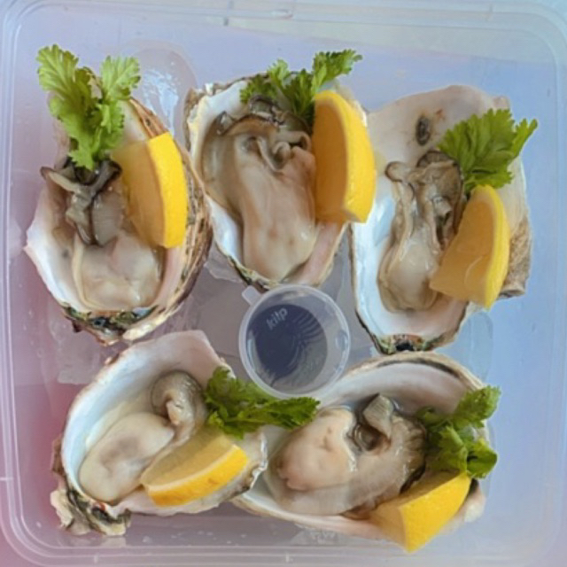 

FRESH OYSTER KOTA MALANG FREE SAMBAL & SOY SAUCE (P.O)