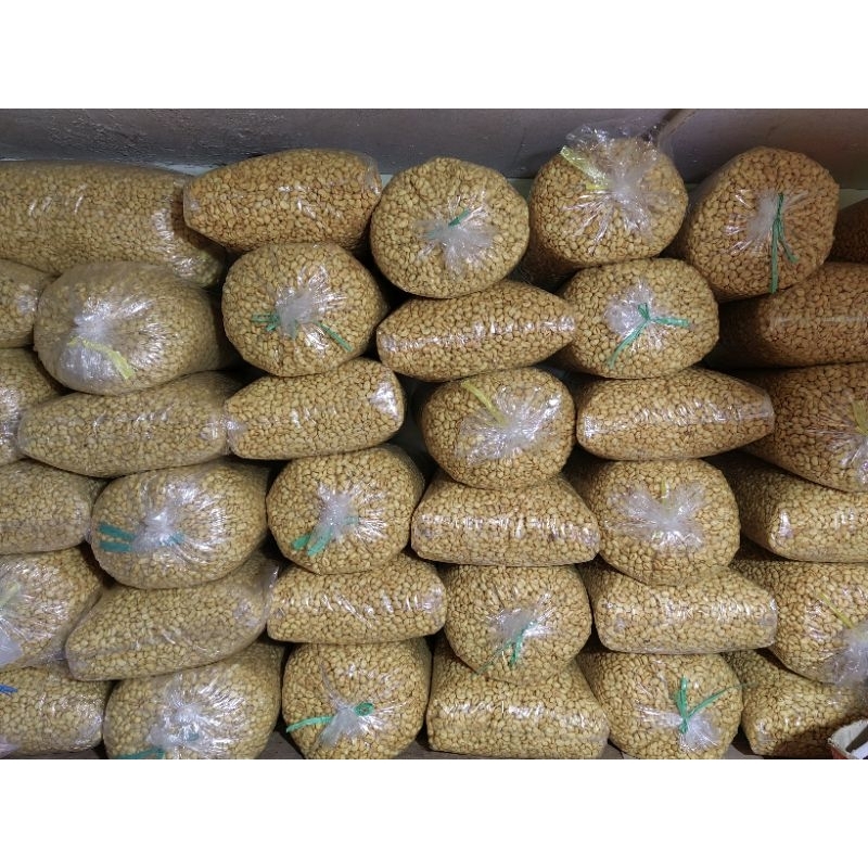 

kacang bogor super jumbo 10kg