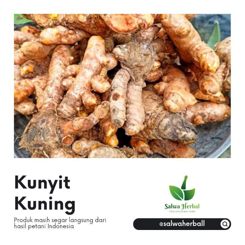 

Kunyit Kuning segar 1kg