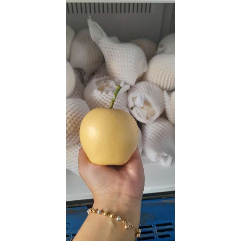 

pir pear manis buah