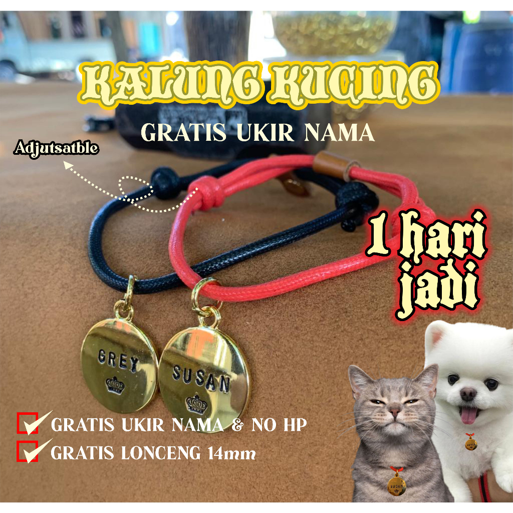 KALUNG KUCING CUSTOM NAMA GRATIS TAG NAME KUCING GOLD