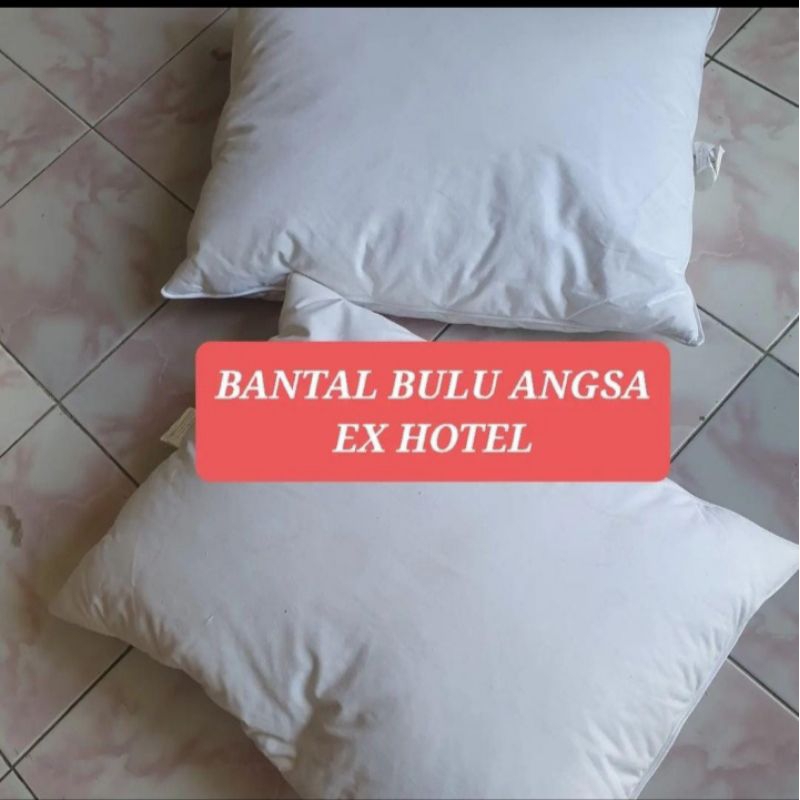 Bantal Hotel/pillow bulu sangsa ex hotel