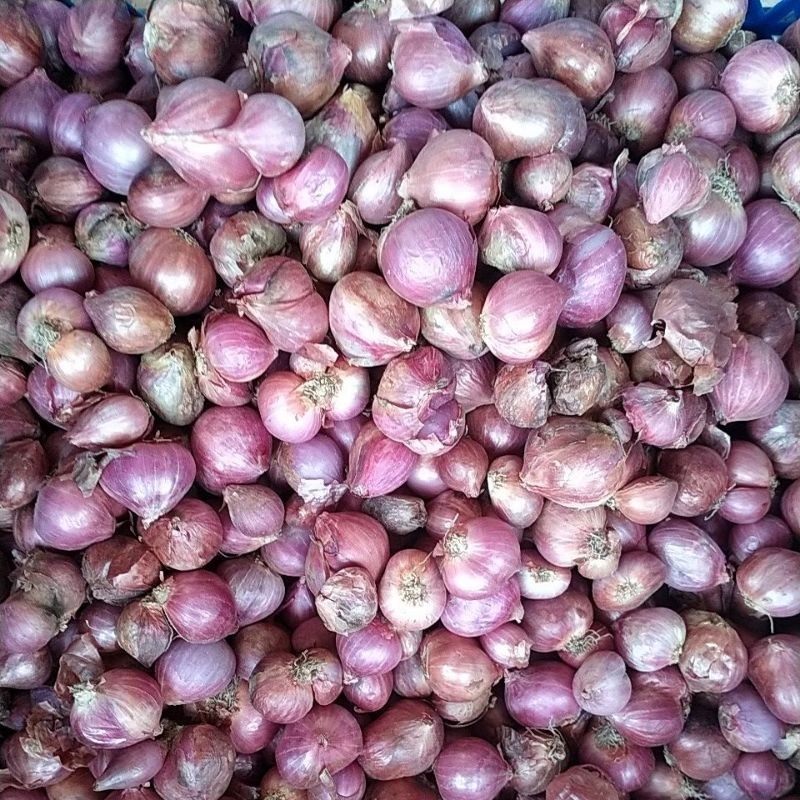 

Bawang Merah Curah 500 gram & 1 kg