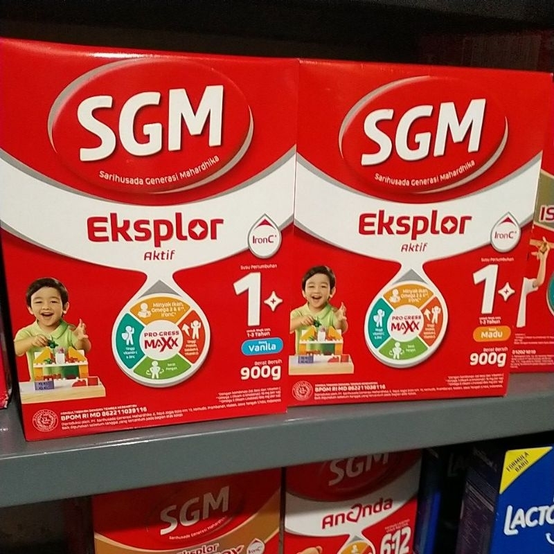 SGM 1