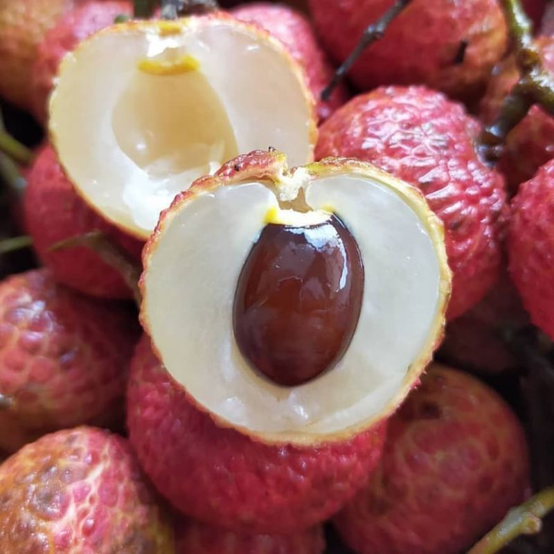 Buah leci madu manis segar 1kg murah