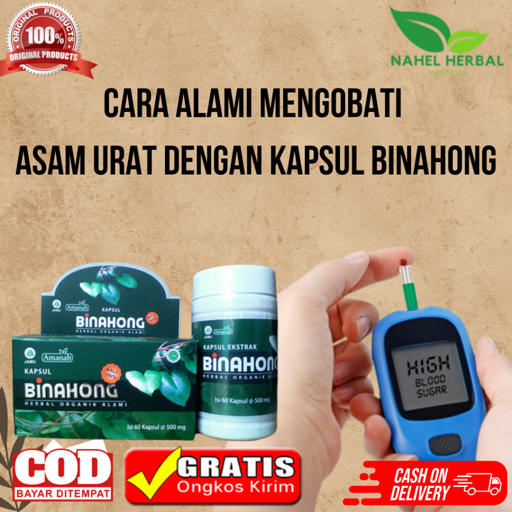 Dapatkan Kualitas Hidup Yang Lebih Baik Dengan Kapsul Binahong Untuk Asam Urat - Obat Kolesterol Asa