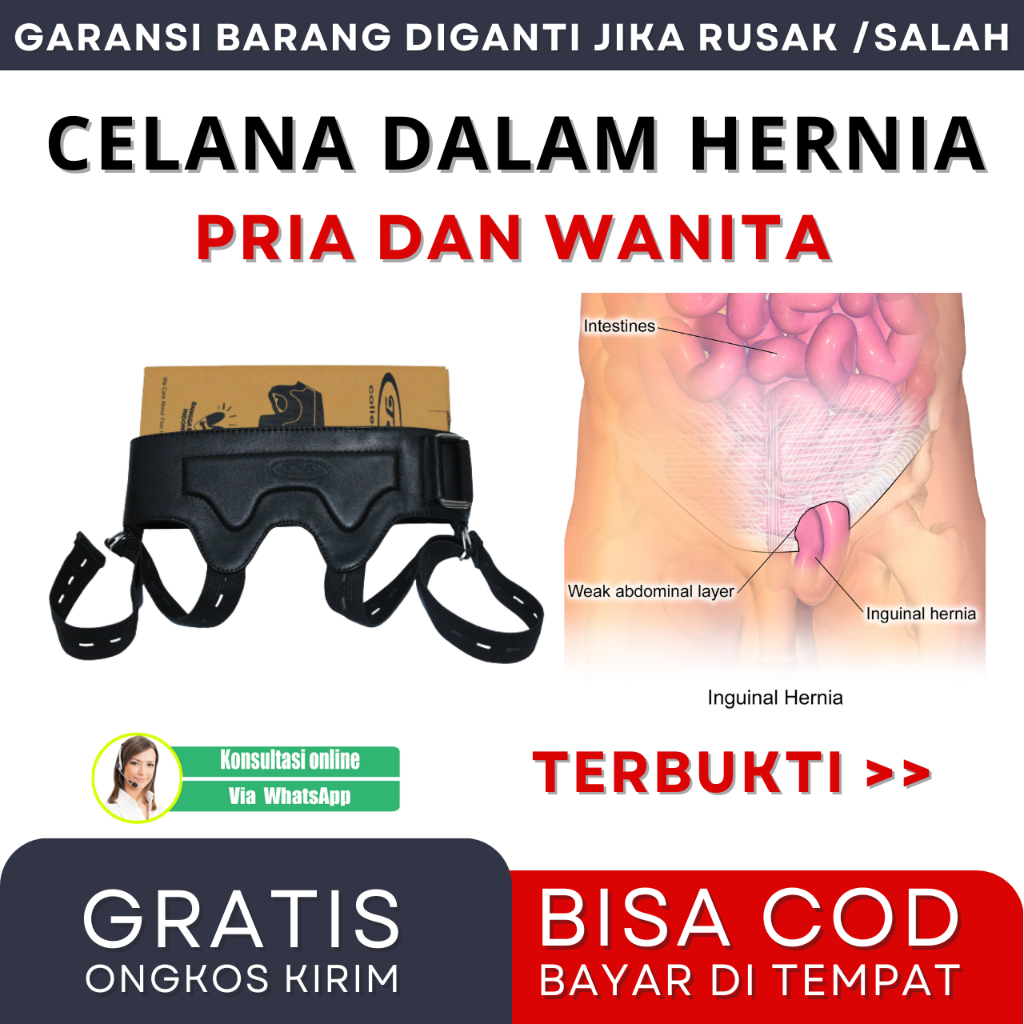 Cd Hernia Pria Dewasa, Celana Dalam Wanita, Obat Turun Berok Paling Ampuh, Sabuk Hernia, Korset Hern