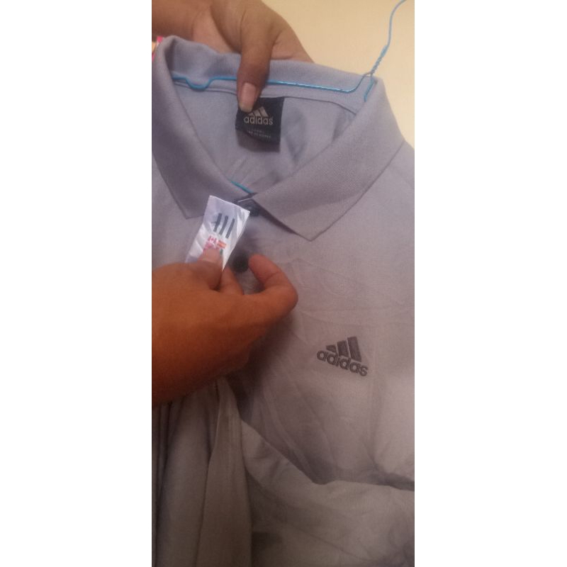 rugby adidas