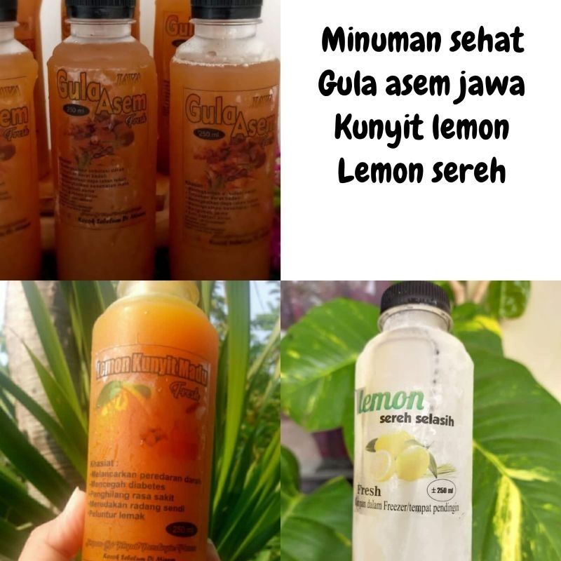 

JAMU SEGER GULA ASEM JAWA , LEMON SEREH, KUNYIT LEMON