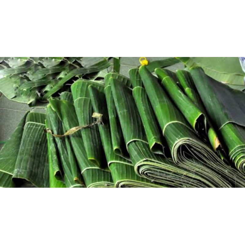 

daun pisang fress dari kebun perlembar 1.000