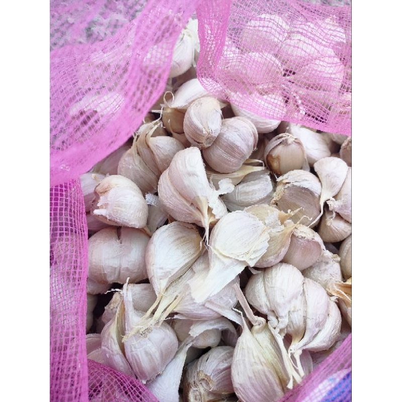 

bawang putih