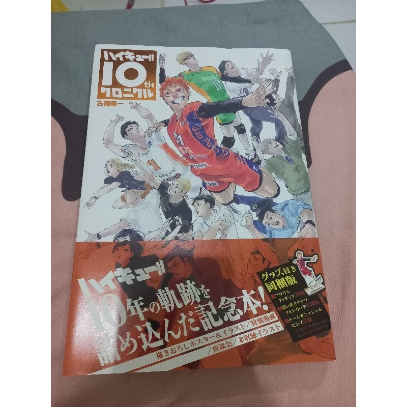 haikyuu Chronicle book