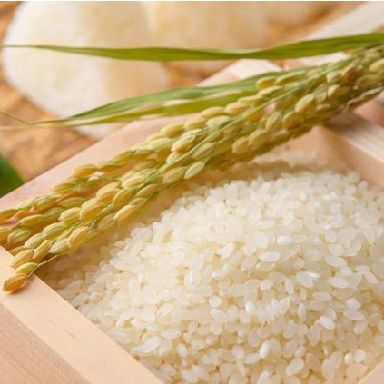 

Beras Jepang Koshihikari Kiloan Beras Nasi Sushi Japanese Rice