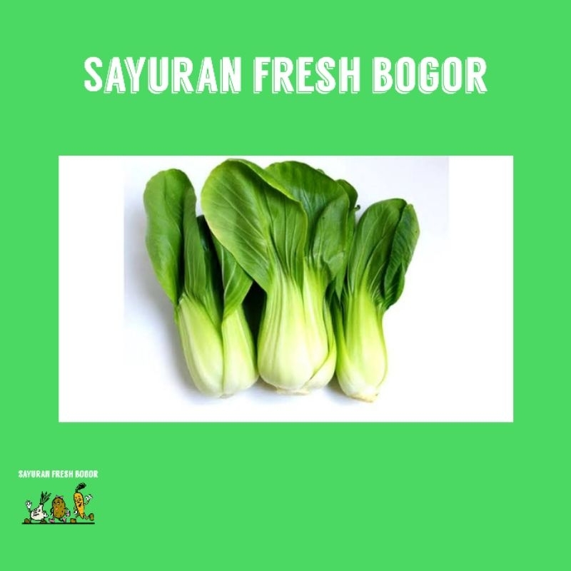 

Pakcoy Sawi Daging ( 500 Gram ) | Sayuran Fresh Bogor