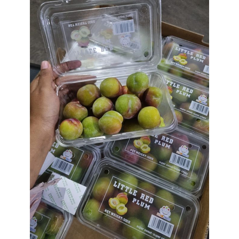 

Buah Plum/kemasan pack(baca deskripsi produk)