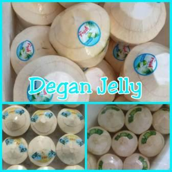

KIRIM BESOK Degan Jelly