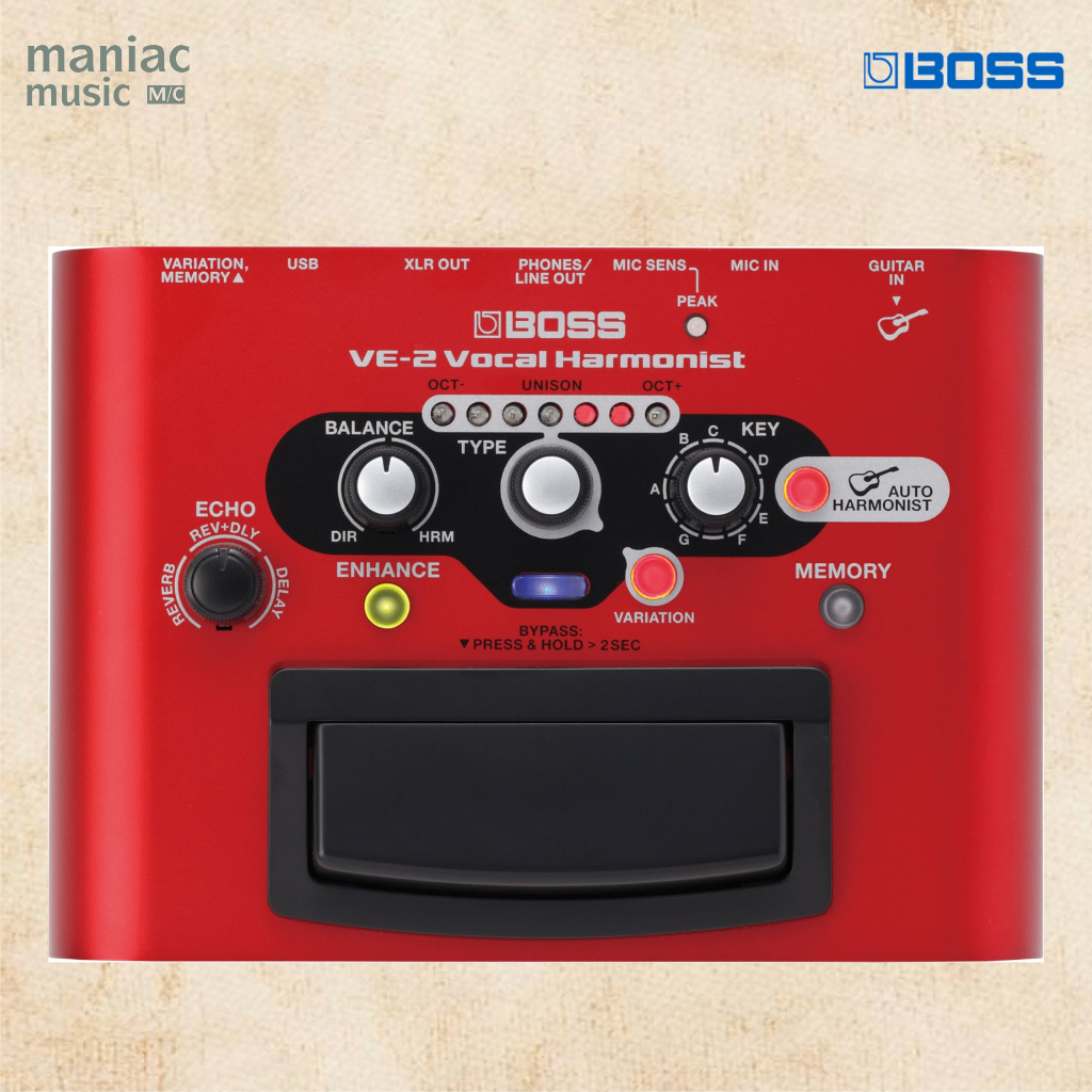 Boss VE2 - Efek Vocal. Harmonist. Auto Harmony. Studio Quality. Stompbox. USB