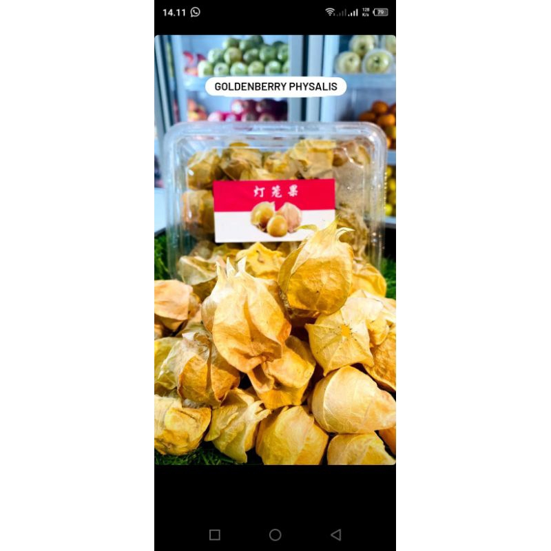 

Goldenberry Physalis Perpack