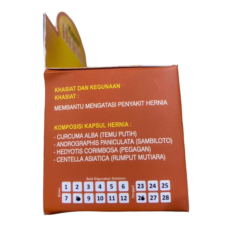 Apotik_Nugroho Kapsul Hernia 50 Kapsul - Obat Turun Berok Obat Hernia Obat Hidrokel Varikokel Buah