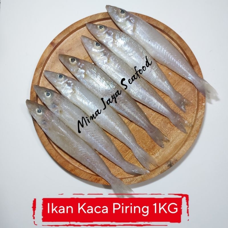 

Ikan Kaca Piring / Rejung 1KG / FREE SUDAH DIBERSIHKAN