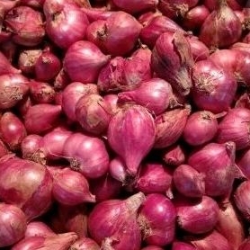 

Bawang merah brebes 1 kg