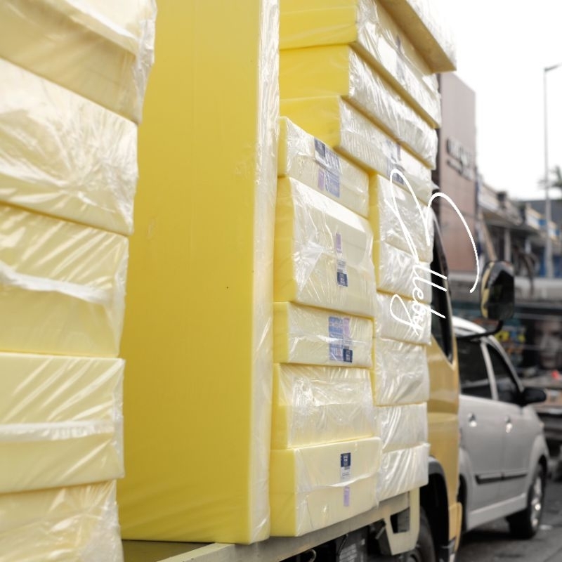 Kasur Busa Inoac EON D23 Kasur Busa No 1 Busa Anti Kempes Matras Busa Inoac Garansi 10 Tahun Kasur B